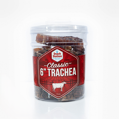 Trachée de Boeuf  6''- This & That