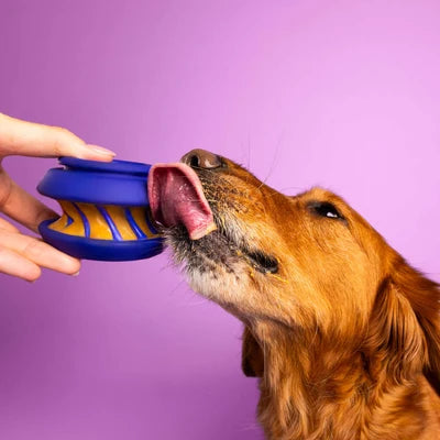 Jouet Intéractif emboîtable 'le Slobber' - WagLab
