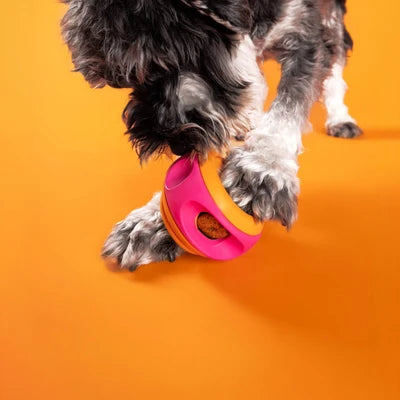 Jouet Intéractif emboîtable 'le Spinner' - WagLab