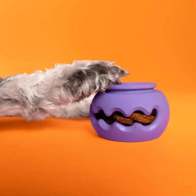 Jouet Intéractif emboîtable 'le Squiggle' - WagLab