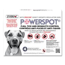 Traitement pour tiques et puces pour chiens