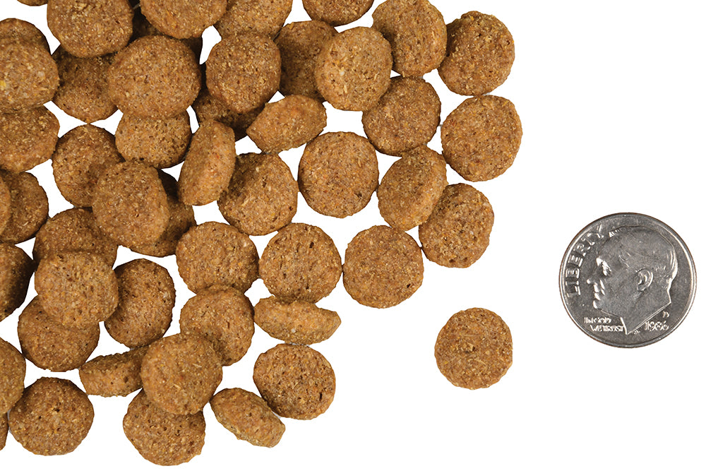 Nourriture Sèche Pour Chien Gold Maintien de Poids - Fromm
